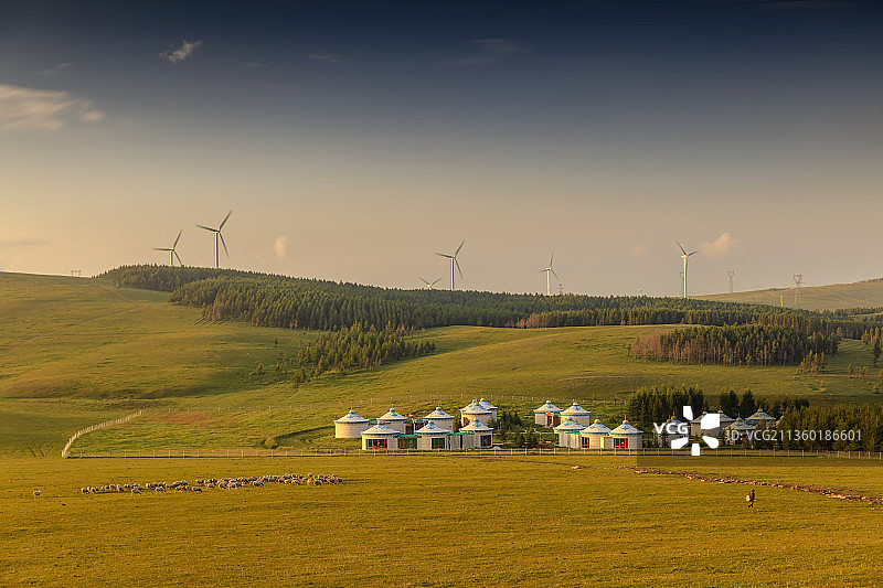 辉腾锡勒大草原，羊群，森林，蒙古包。图片素材