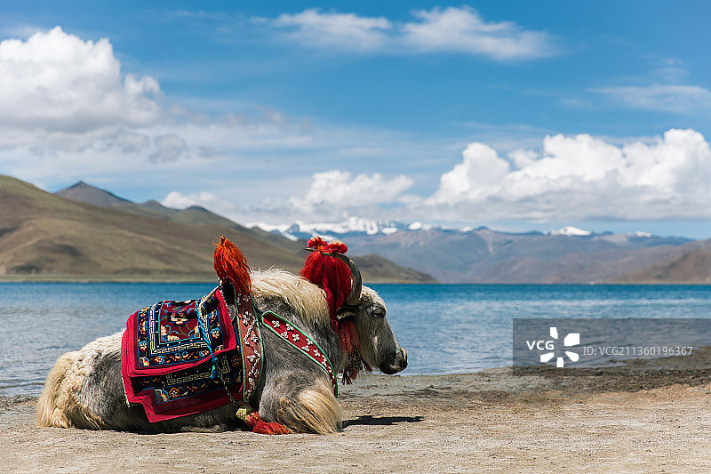 天边下的惬意图片素材