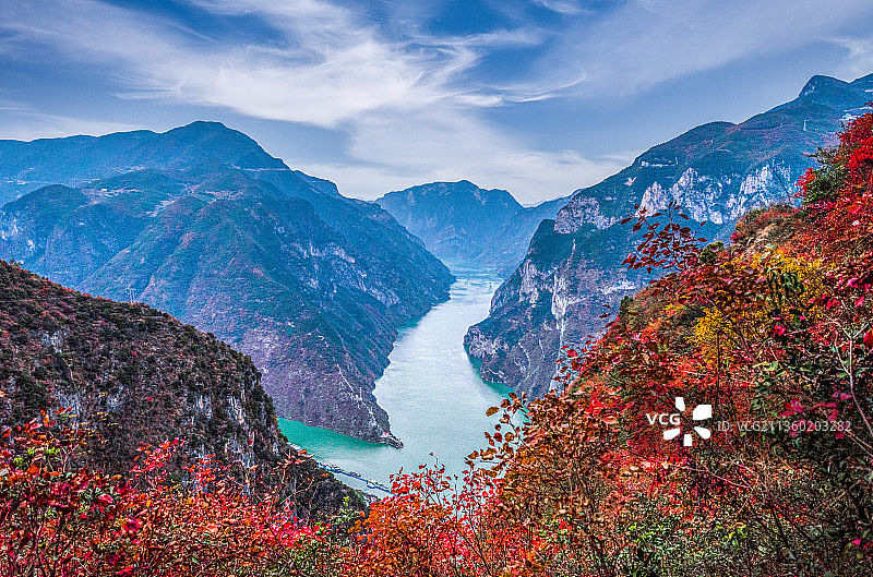 2021年，重庆巫山三峡红叶图片素材