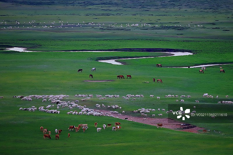 锡林郭勒草原图片素材