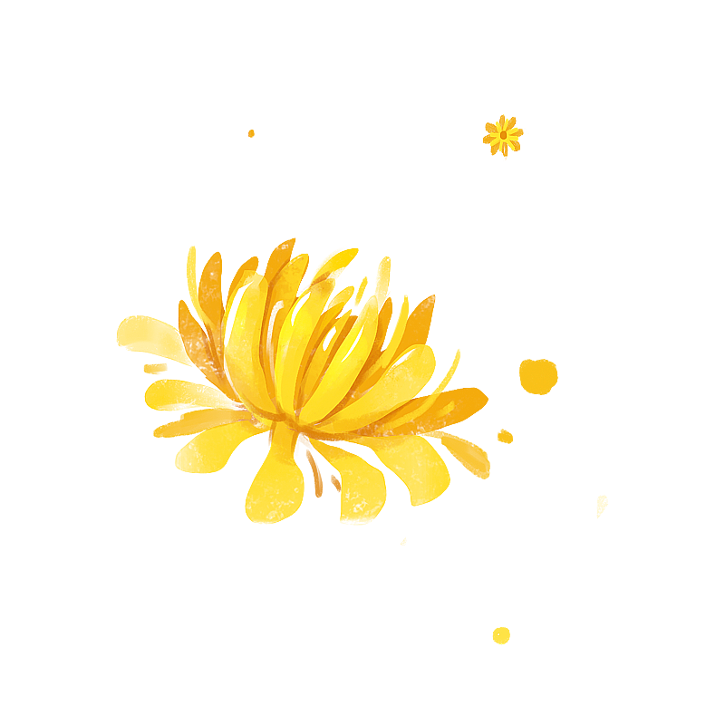 菊花图片素材