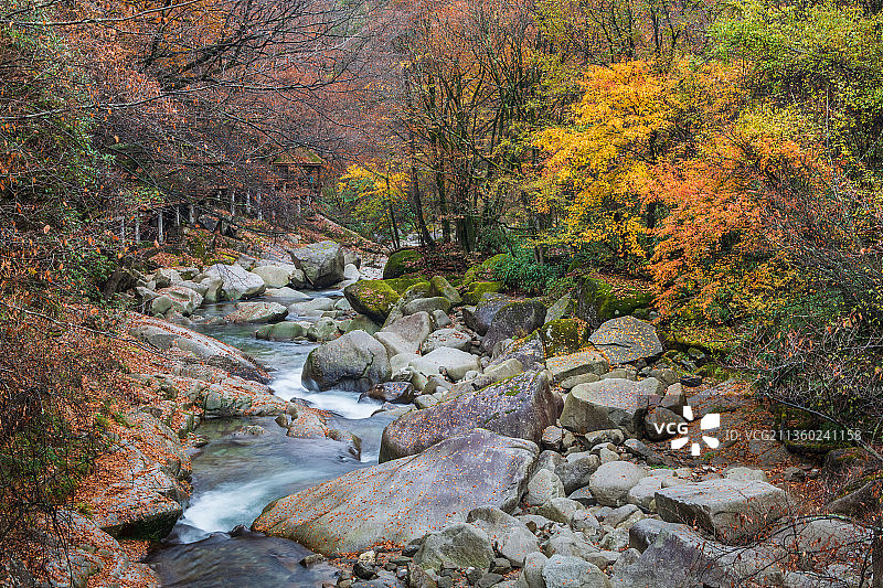光雾山红叶图片素材