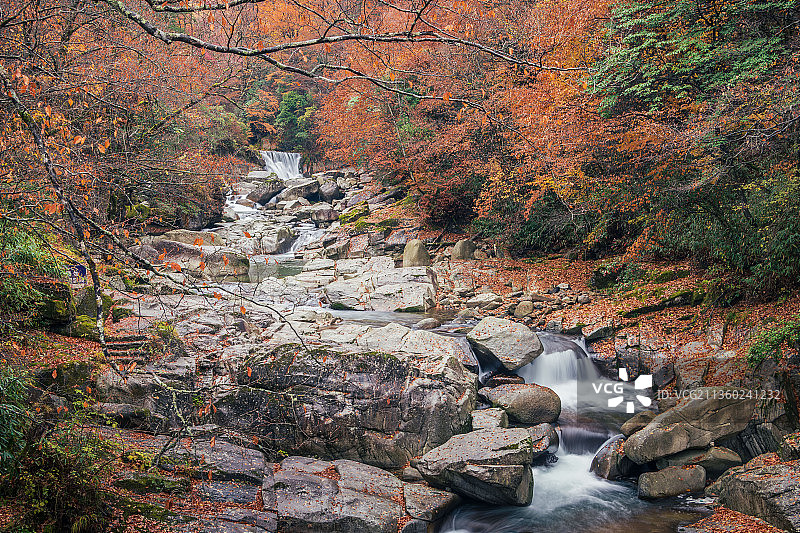光雾山红叶图片素材