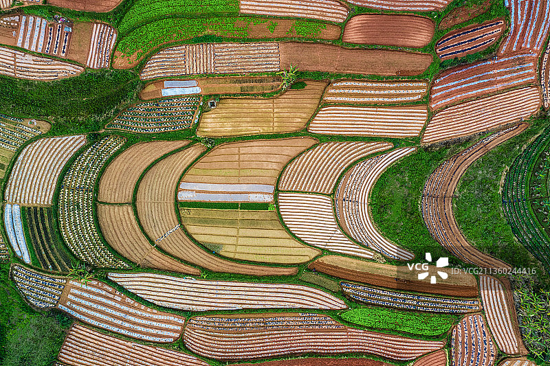 《五彩田园》图片素材