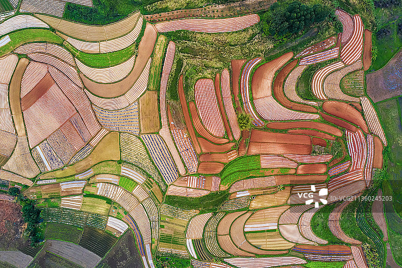 《五彩田园》图片素材