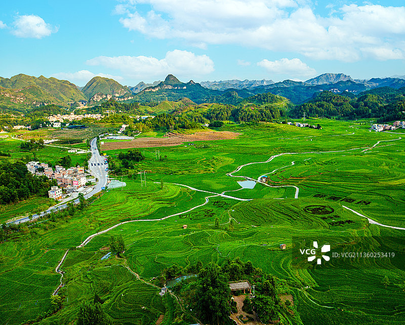 《艺术稻田》图片素材