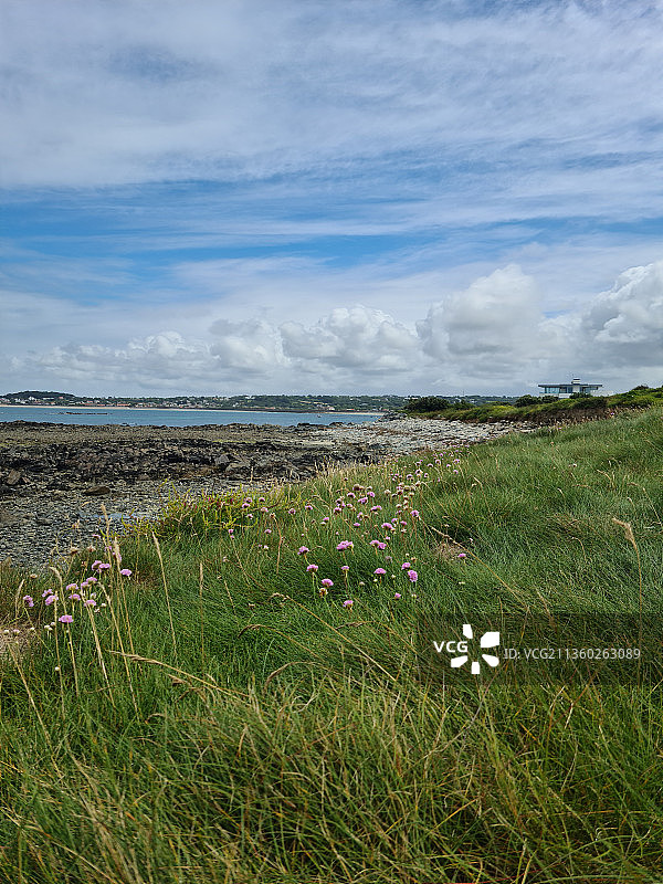 格恩西岛的草地风光图片素材