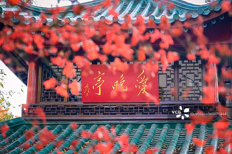 爱晚亭图片素材