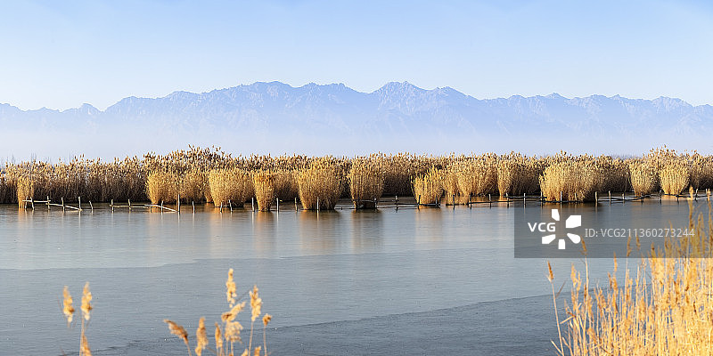 宁夏银川阅海湿地冬景图片素材