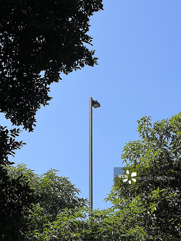 城市路灯图片素材