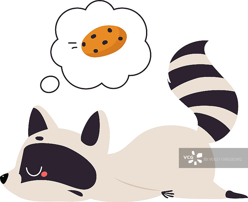 可爱的环尾浣熊图片素材