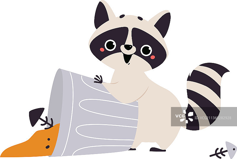 在土里挖洞的可爱环尾浣熊图片素材