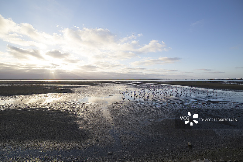 纳米比亚日落海滩风光图片素材