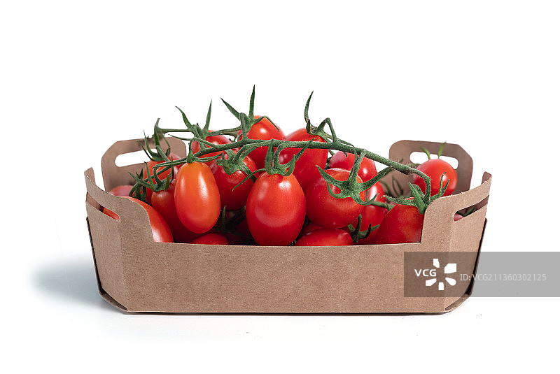 白色背景下的番茄特写图片素材