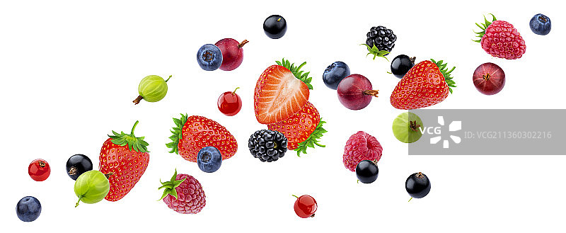 带剪切路径的飞行浆果图片素材