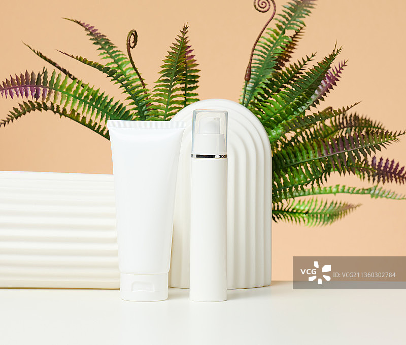 墙边的盆栽和树叶特写图片素材