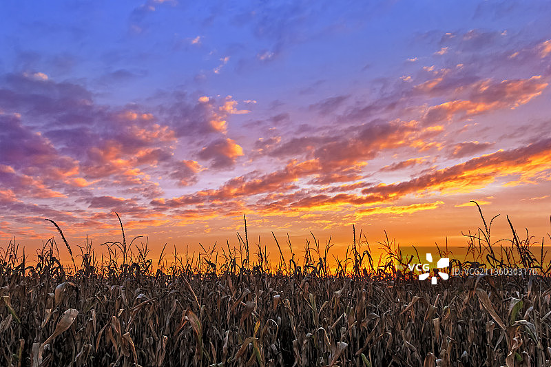日落时，天空衬托下的风景图片素材