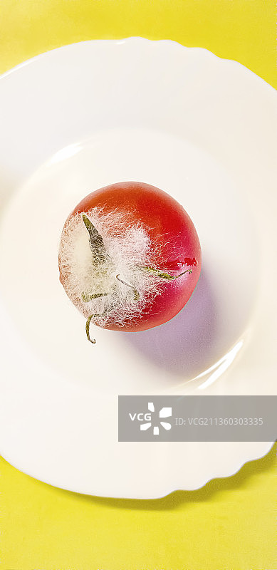 黄色背景白色圆盘上的红色霉变番茄图片素材