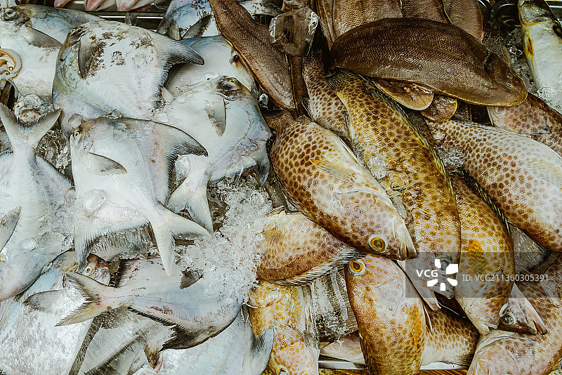 印度尼西亚鱼市上的新鲜海鱼图片素材