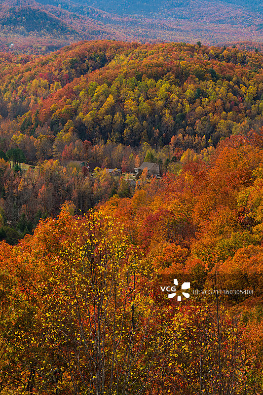 美国田纳西秋季森林俯瞰图片素材