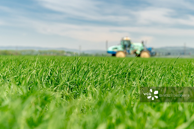 牛用草地，拖拉机正在给田地施肥图片素材