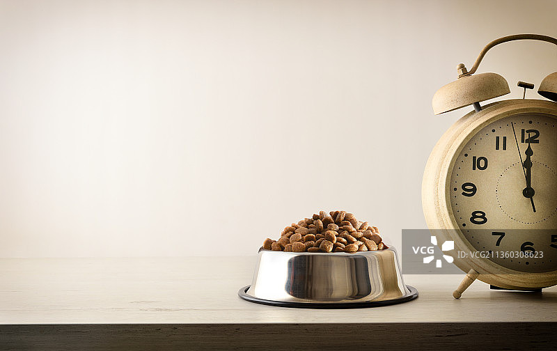 一碗宠物干粮的用餐时间图片素材