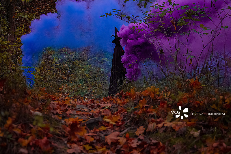 万圣节概念：十月森林中的黑色女巫剪影图片素材