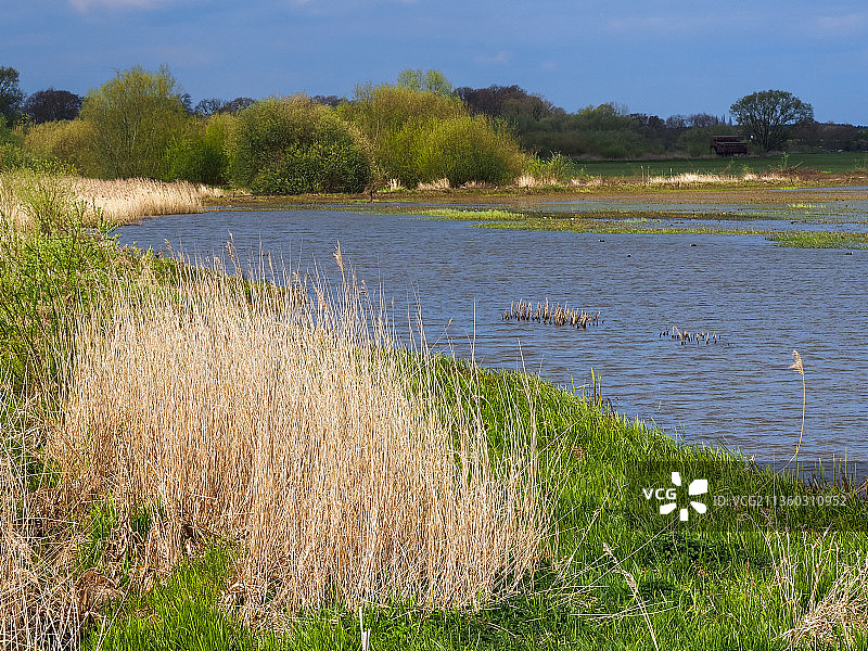 英国北约克郡惠尔德雷克英斯自然保护区被洪水淹没的草地图片素材