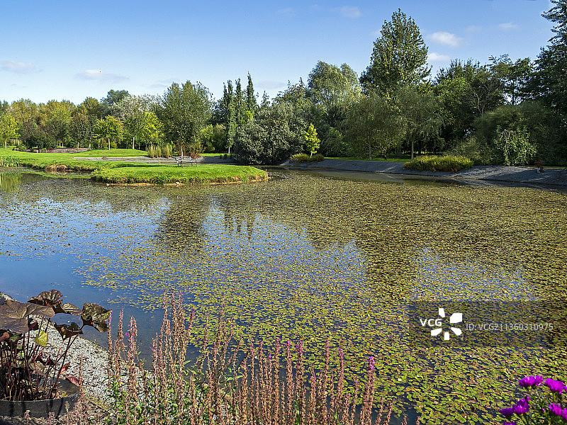 湖天景色，英国微风膝花园图片素材