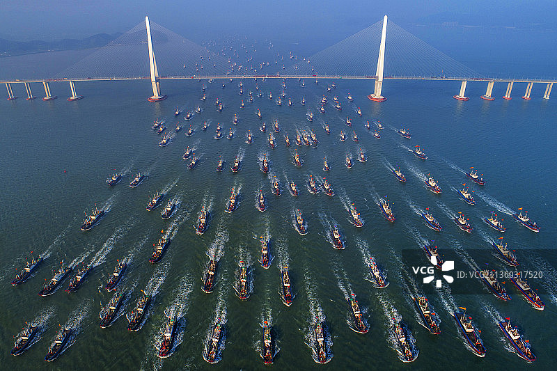象山港大桥-开渔节盛景图片素材