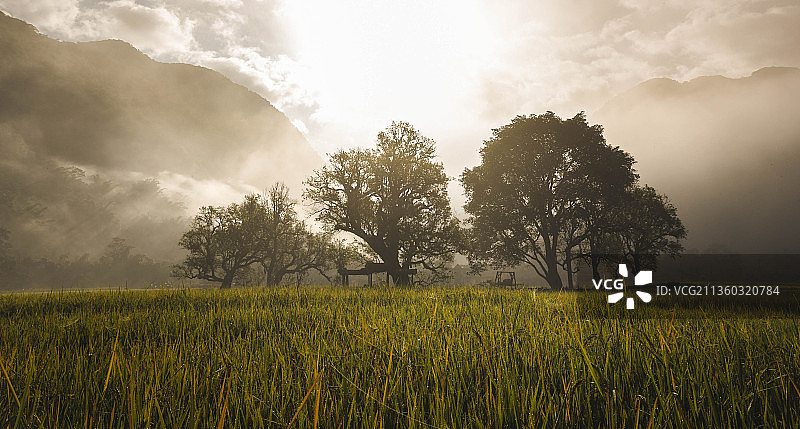 耿马芒见风光图片素材