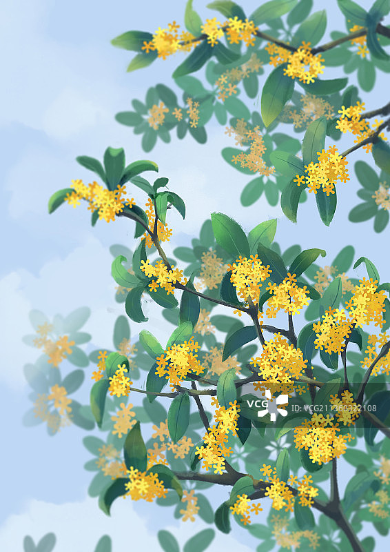 秋天开放的桂花场景插画图片素材