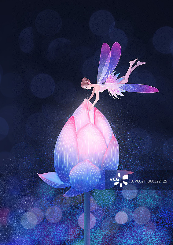 仙子精灵在荷花花苞上飞舞图片素材