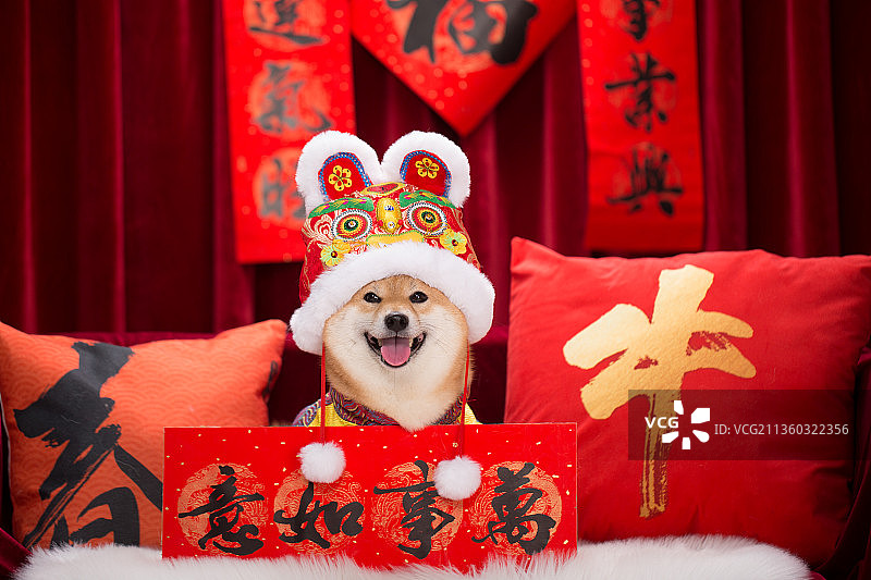 宠物柴犬新年设计素材模板图片素材