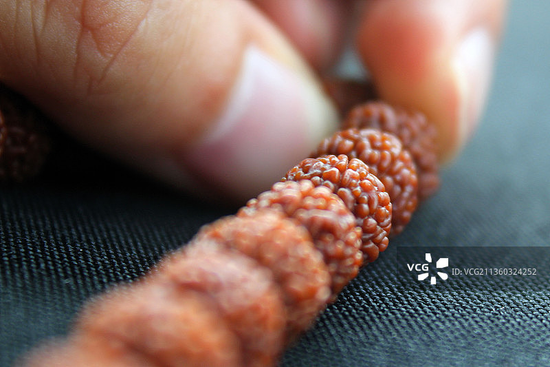 中国北京龙鳞金刚菩提子文玩手串特写图片素材