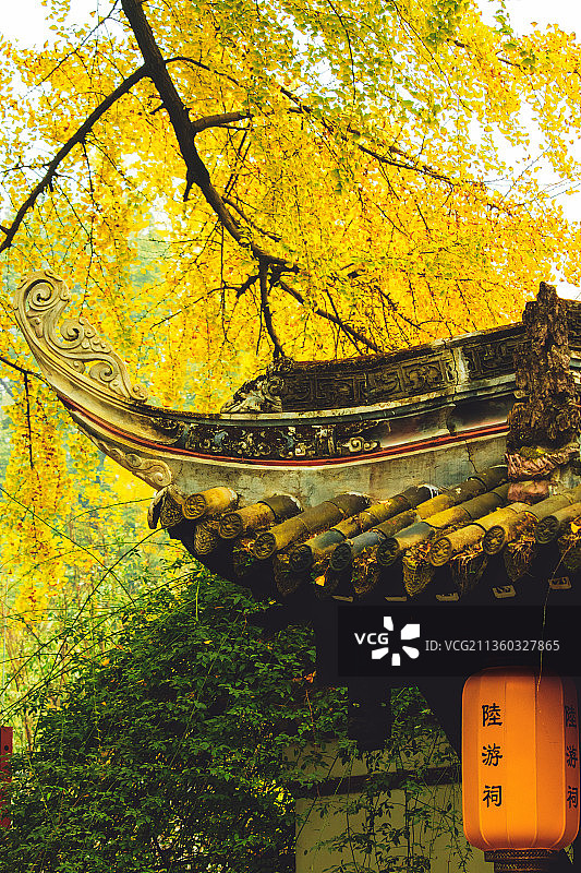 罨画池陆游祠图片素材