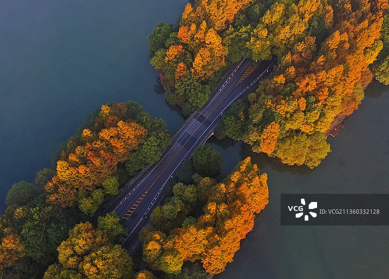 杭州杨公堤图片素材