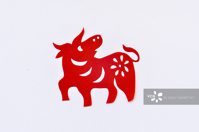 十二生肖牛图片素材