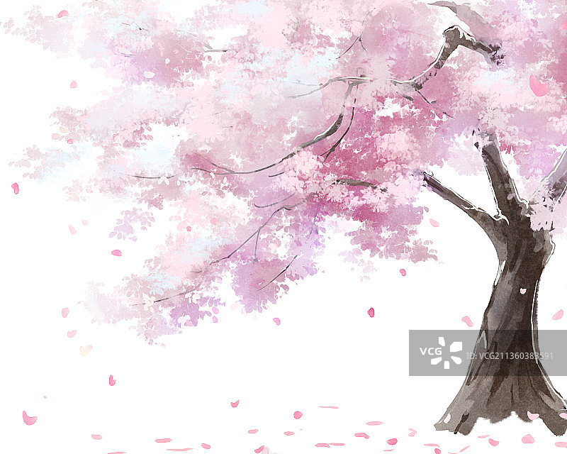 桃花插画图片素材