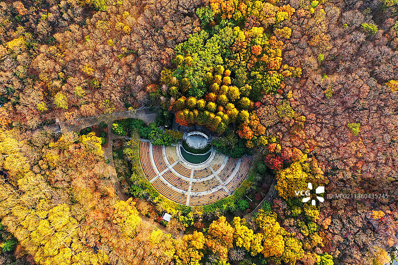 秋季南京钟山风景名胜区，音乐台的斑斓秋色图片素材