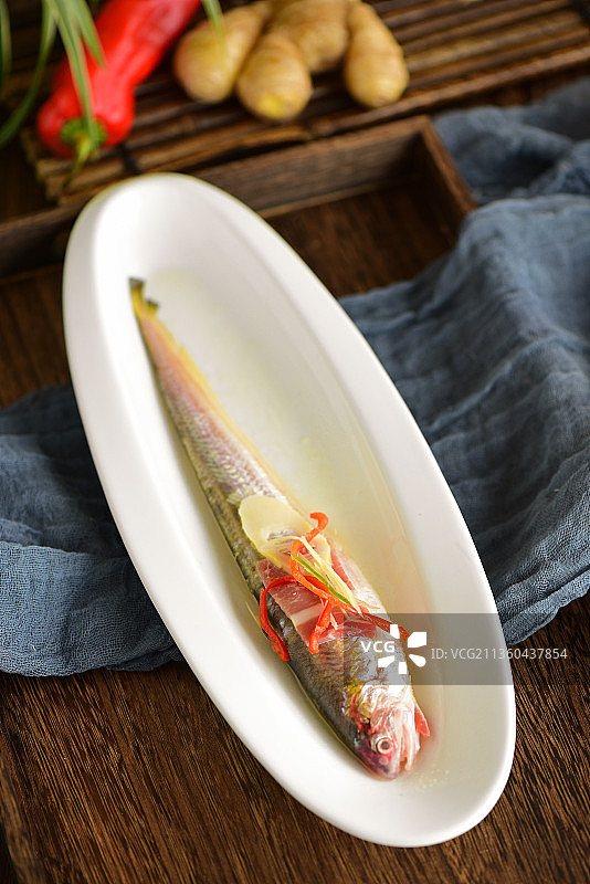 长江刀鱼刀鲚长颌鲚图片素材