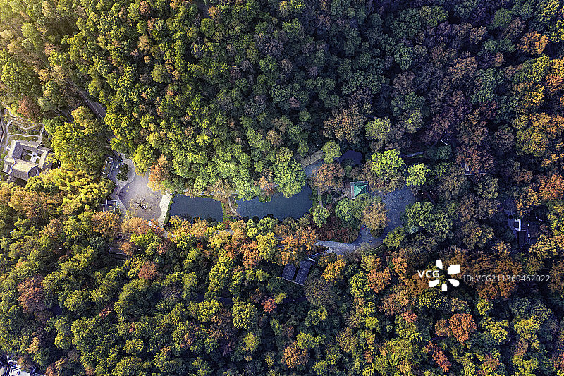 岳麓山彩林图片素材