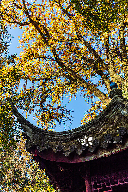 江苏苏州园林留园秋季风光图片素材