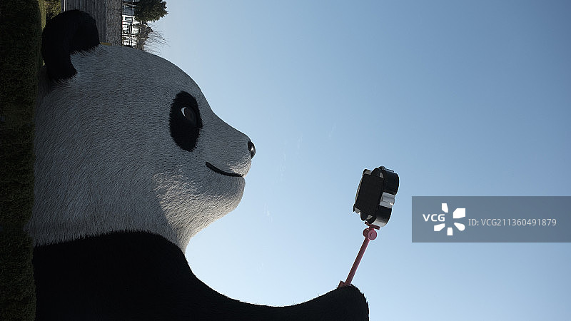 都江堰仰天窝广场，网红熊猫图片素材