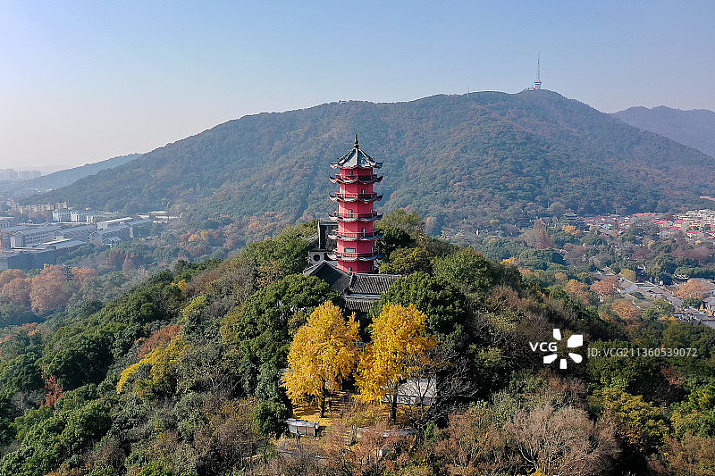 无锡惠山古镇锡山龙光塔前银杏黄图片素材