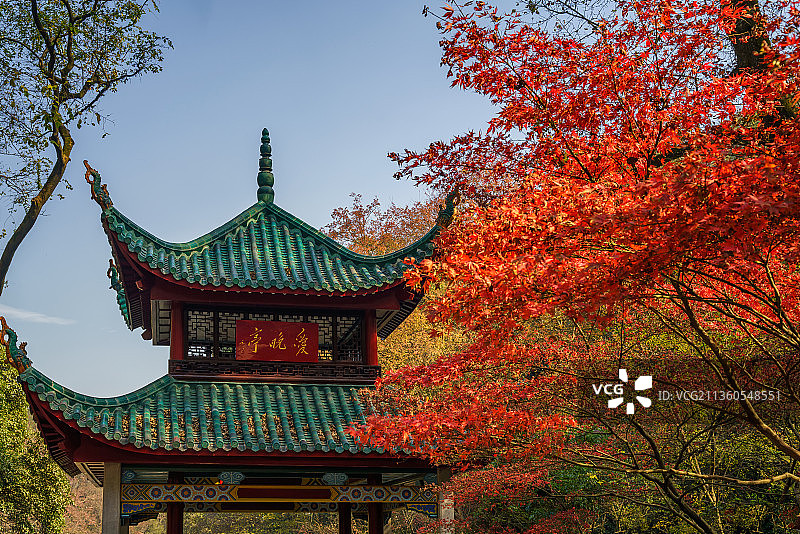 岳麓山爱晚亭图片素材