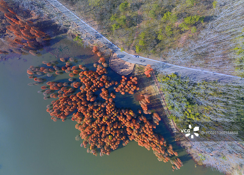 止马岭秋韵图片素材