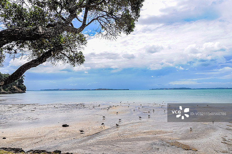 新西兰风光 Landscape in New Zealand图片素材
