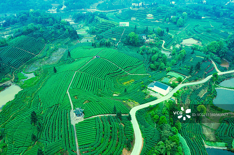 航拍茶山风光图片素材