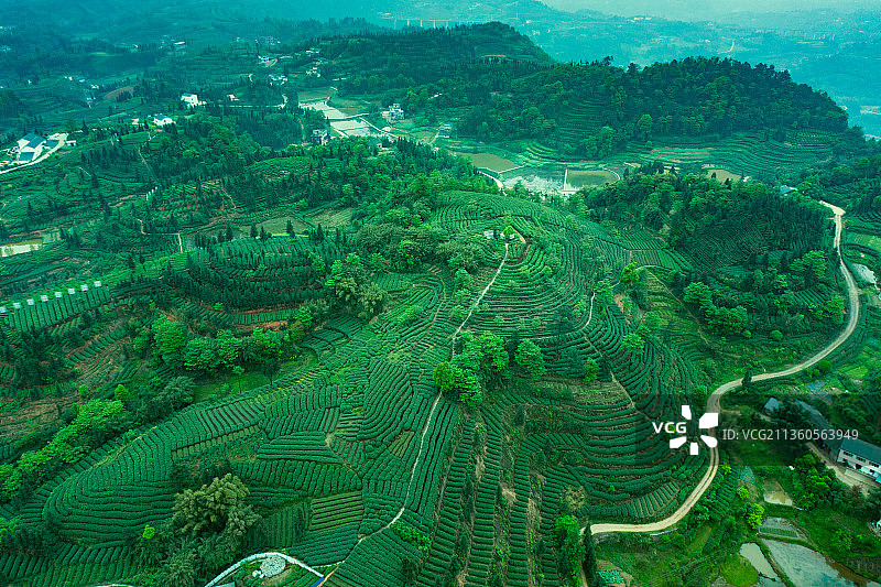 航拍茶山风光图片素材